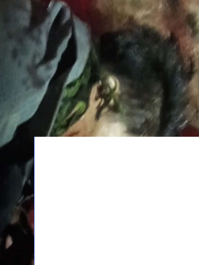 1750242609_68529531dc80c