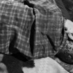 1755757807_68a6bcefa0381